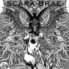 Scara Brae – MPLS Summer 1998 | MKE Punk